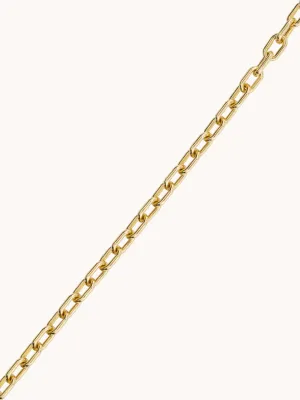 3.0 Elongated Cable Chain