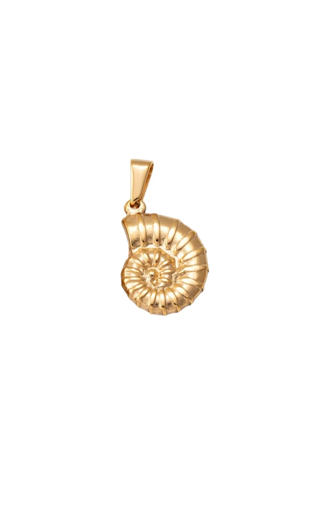 Shell Charm