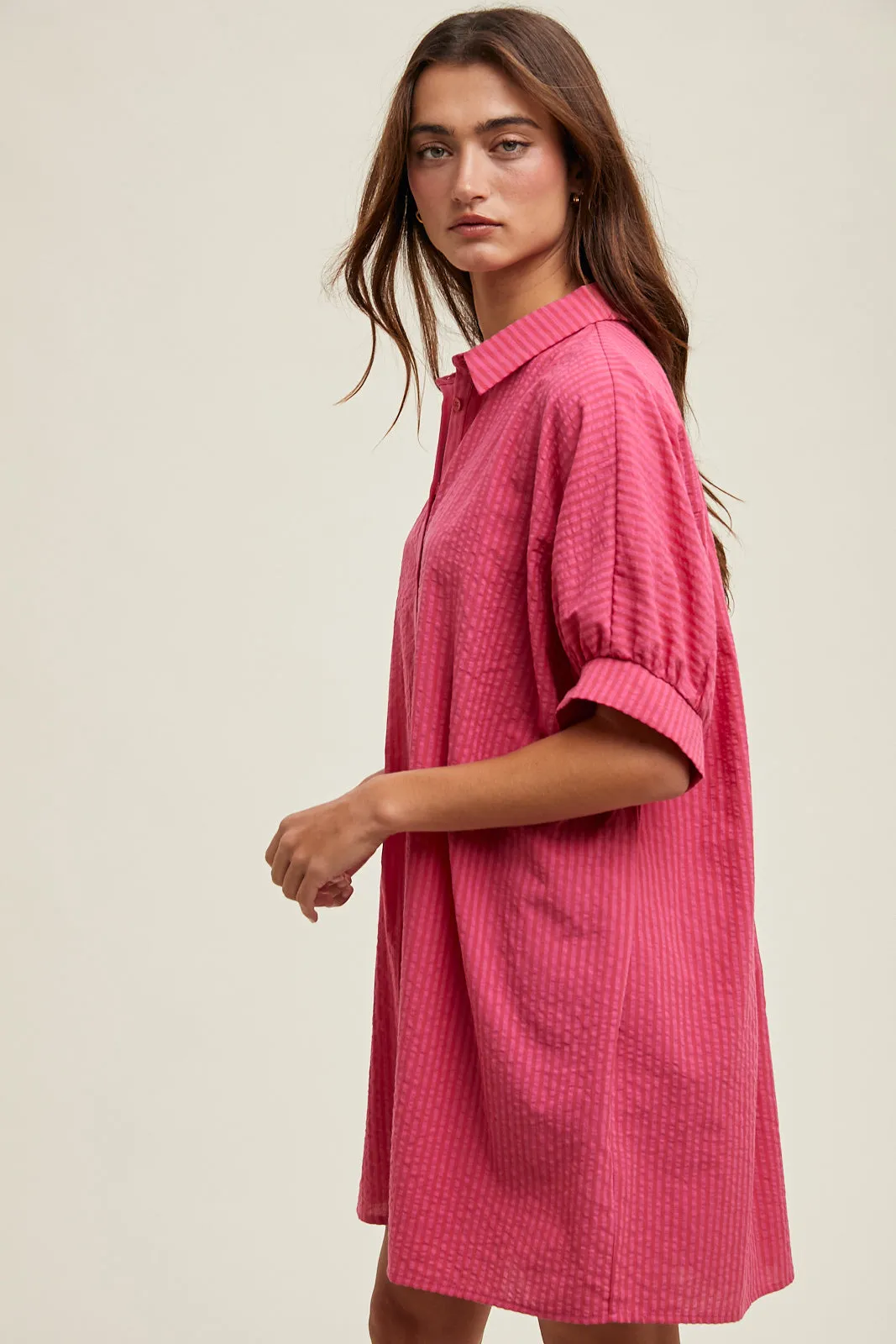 Susan Striped Button Up Mini Dress